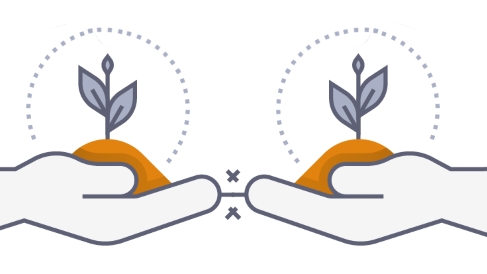 Unlocking Organic Growth: How Profici Empowers Businesses with 15 Years of Consultancy Excellence